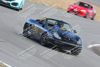 media/Nov-18-2023-Extreme Speed (Sat) [[10c227f63a]]/5-Blue/turn 9/